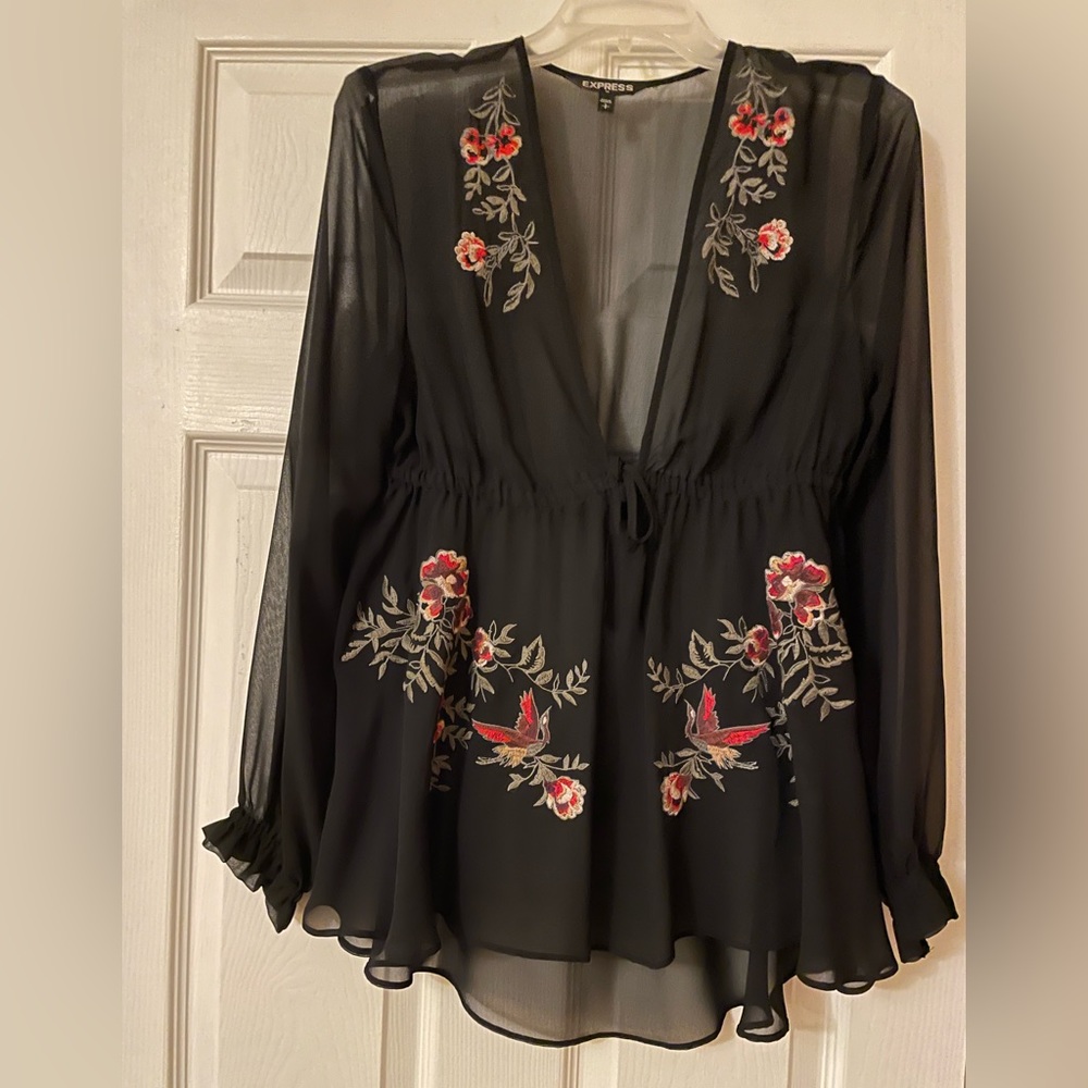 Express Sheer Black Top